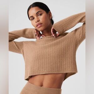 Alo Cashmere Plush Waffle Cropped Long Sleeve Sweater Toasted Almond Small